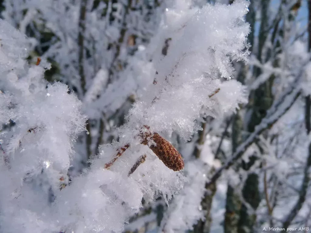 media-libraryn9i2ooueq8npe9XCy4D