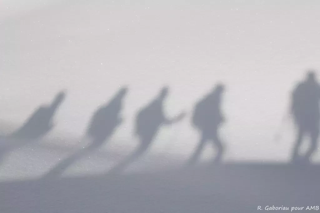 media-library7uk6e48omuoc3SFdMkB