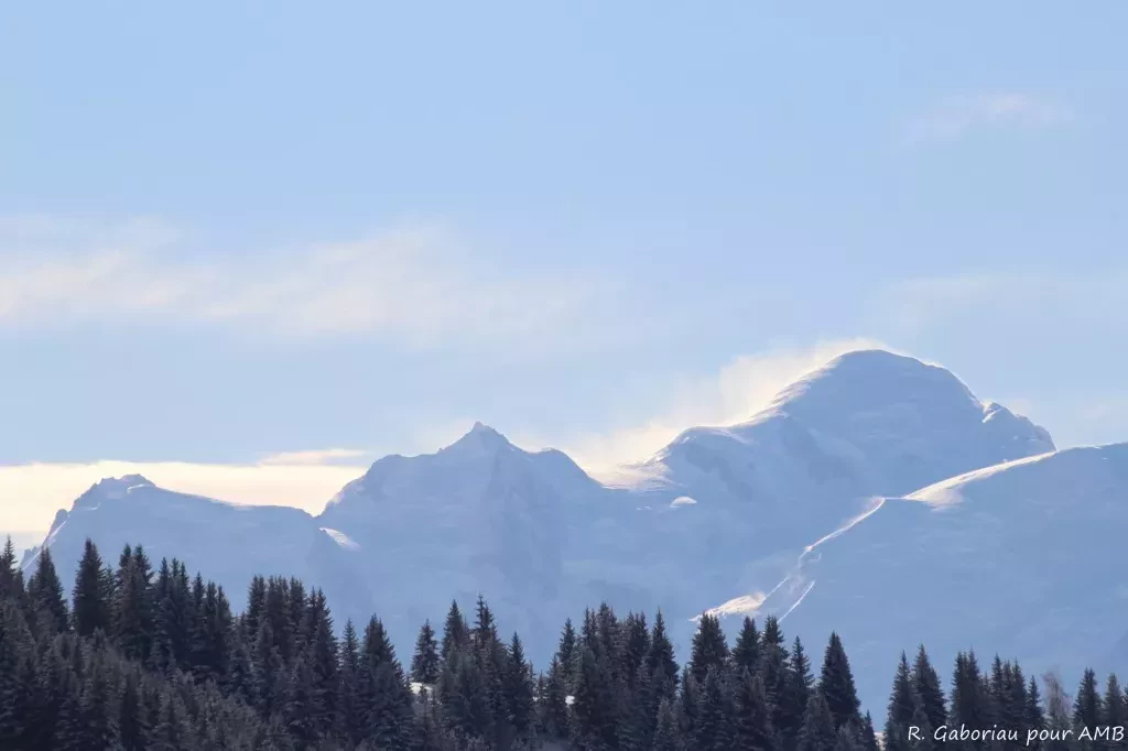 media-libraryuv4h1f1hu30r43SLXSD