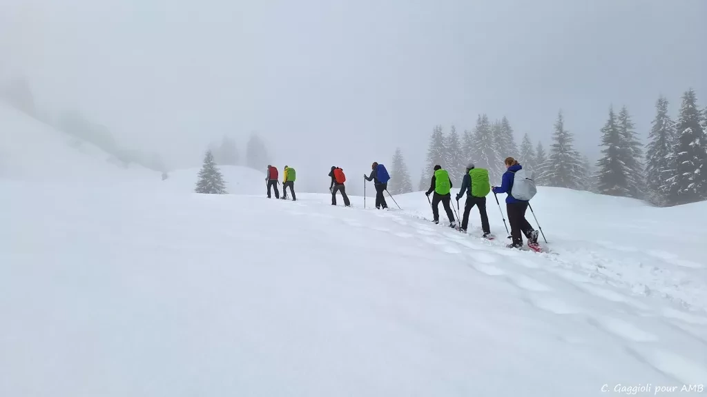 media-libraryddpakqa50681d9x5ZyC