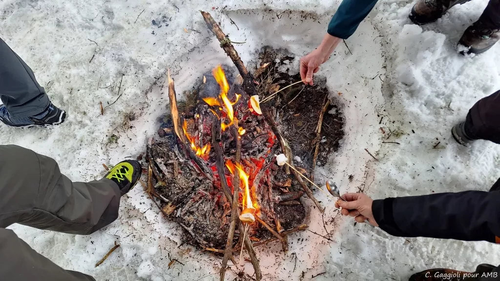 media-libraryaltv5pg7somea9Fo0JF