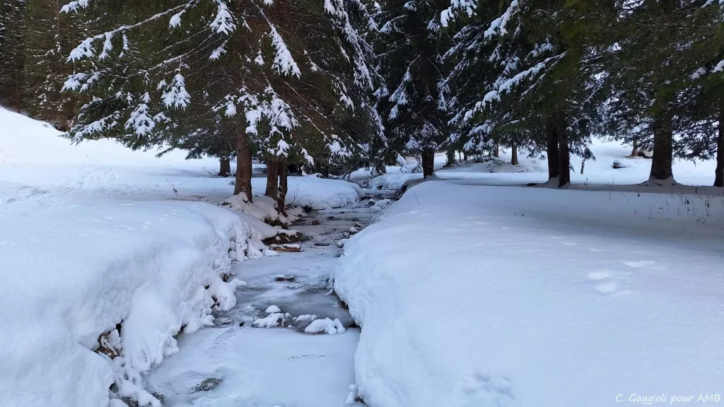 media-library6ob6iigp1qsm1dFmBdE