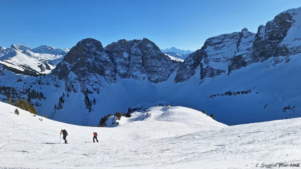 media-libraryo78r3ksb9jf8cJNOAUF