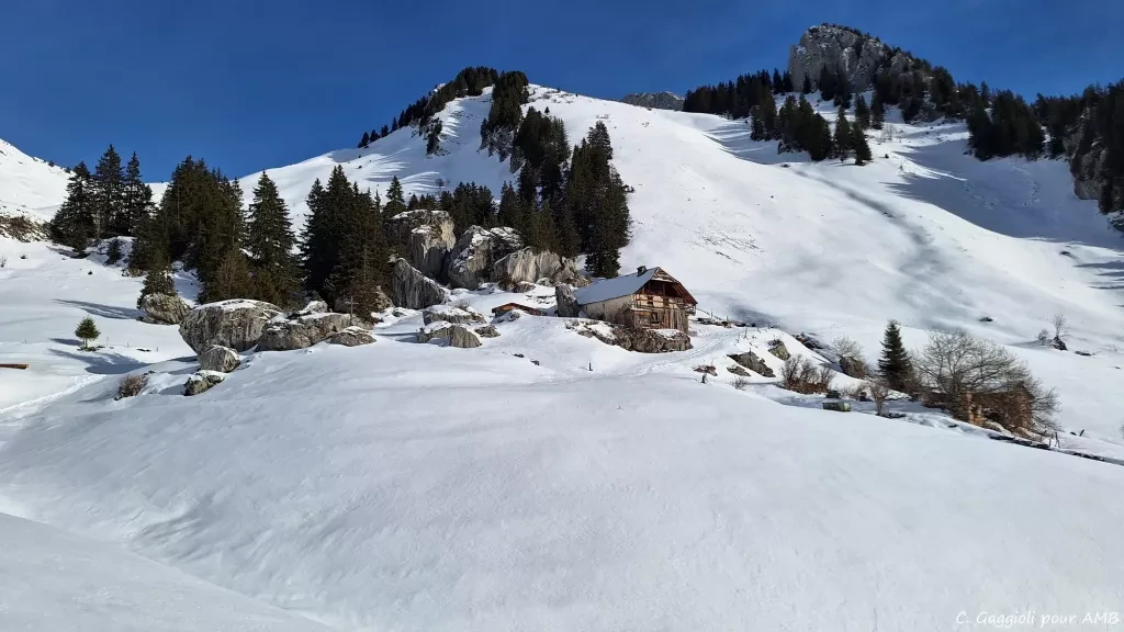 media-libraryqtjnnrk7ssan7WtZR0D