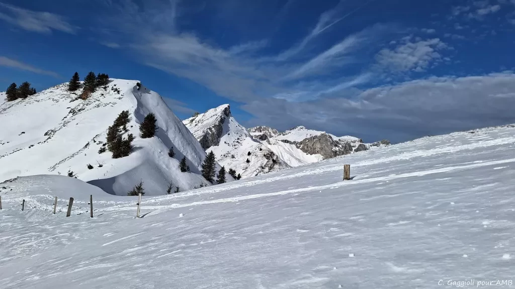 media-library6sh5vitqv99e8U4zC2E