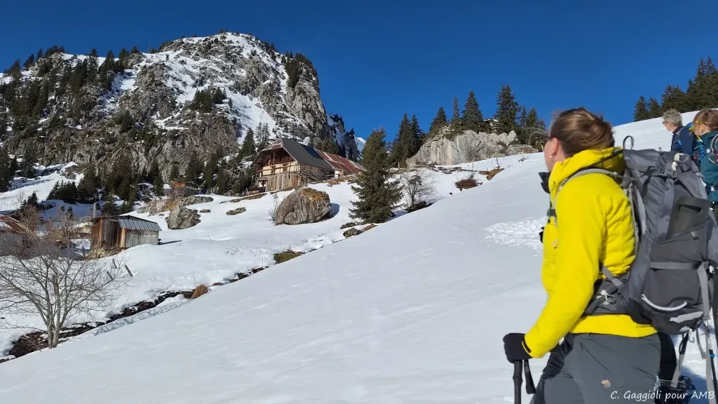 media-libraryj95g1bnvaui1cLVOeLD