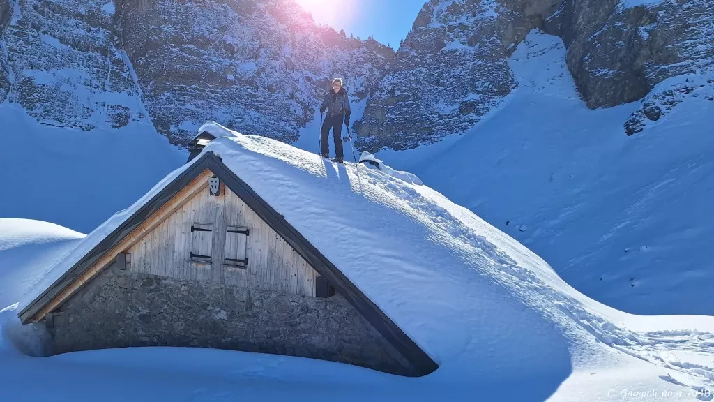 media-libraryftjh997ouu989NHZPcC