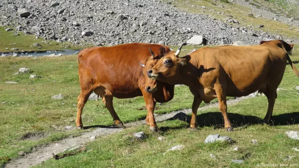 media-library1ih0ilhchi95b4hciFB