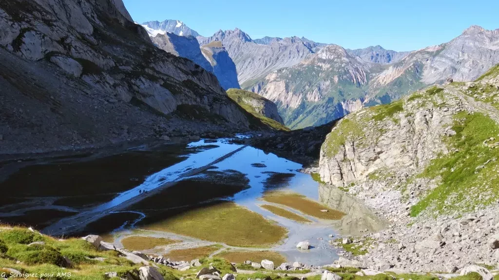 media-libraryh1ptlh2992nb2dWjhQC