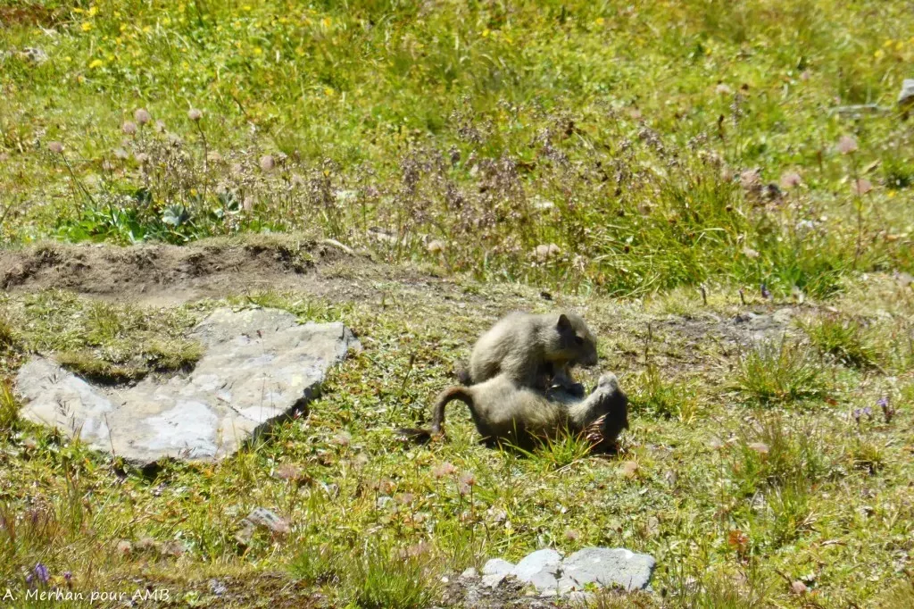 media-library2vi15mj1kaqm9ntbH9E