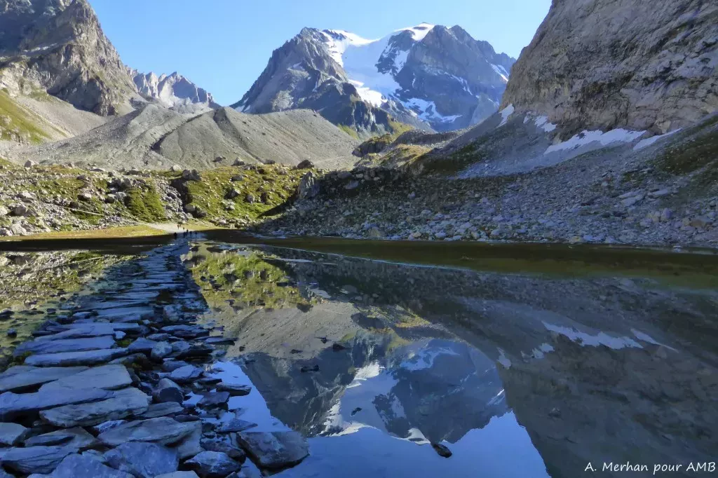 media-libraryngqp8k52uk9ncaXqJSF