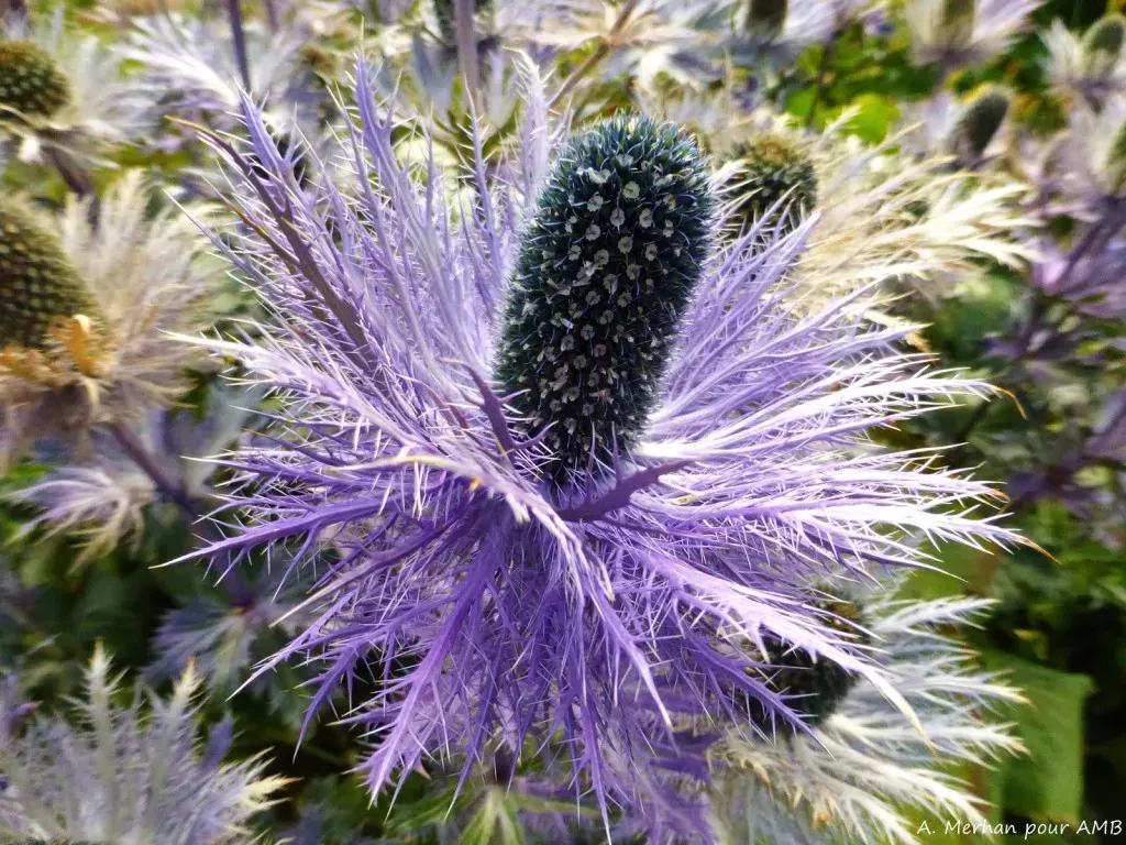 media-library75fft53eiuil1pGzLVC