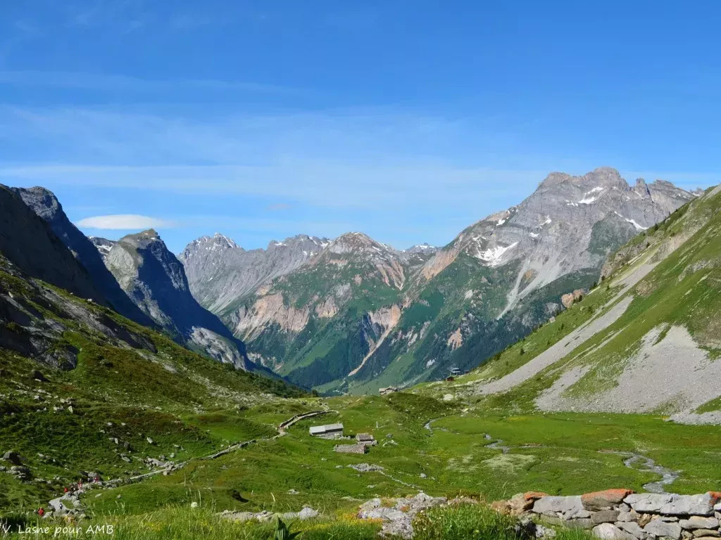 media-libraryl160l37qkovueZpBECC