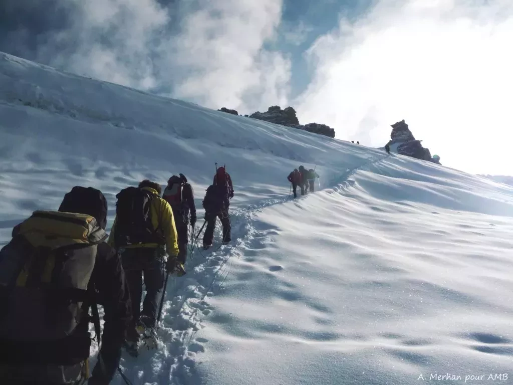 media-library1gskfhg0jevp1rJbc6B