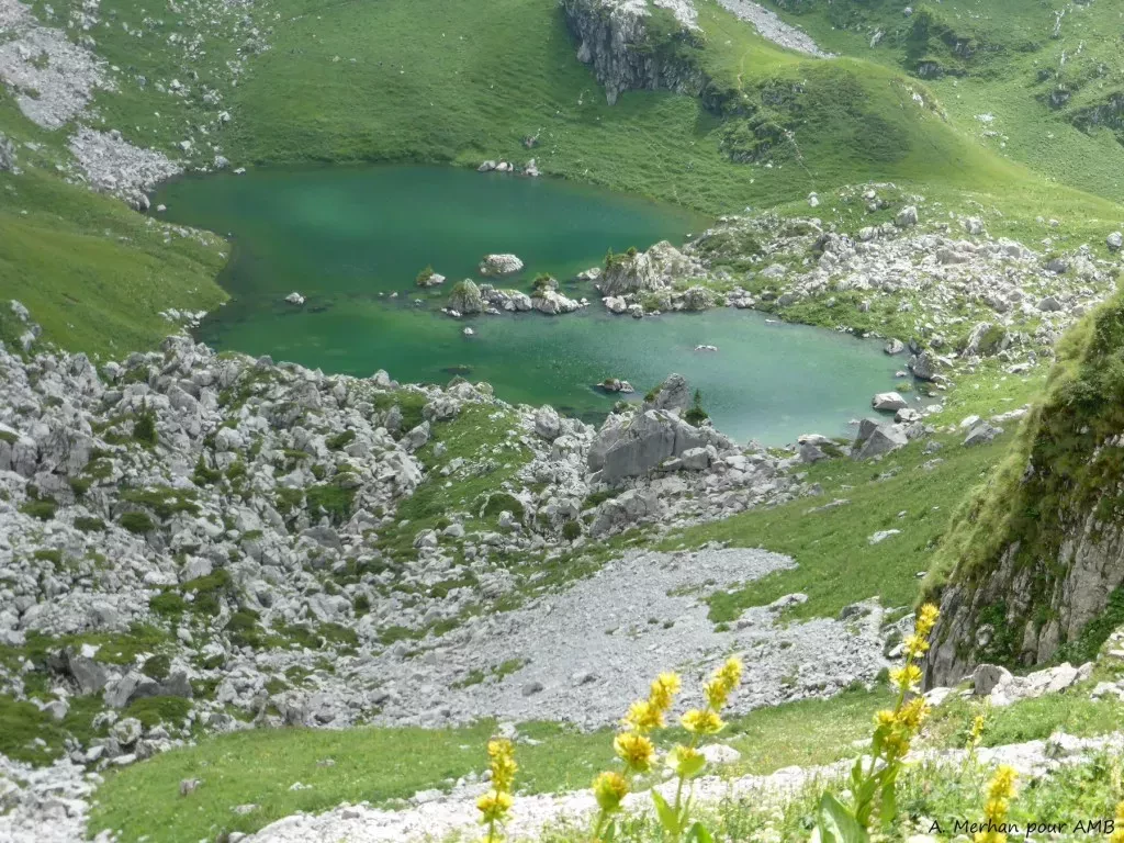 media-library6nmgjmnfrj2la94G6OB