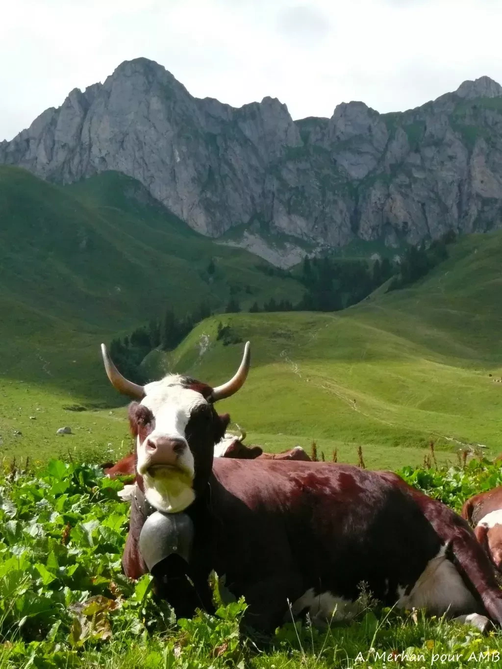 media-librarym7ebc12qib1nakcV0LD