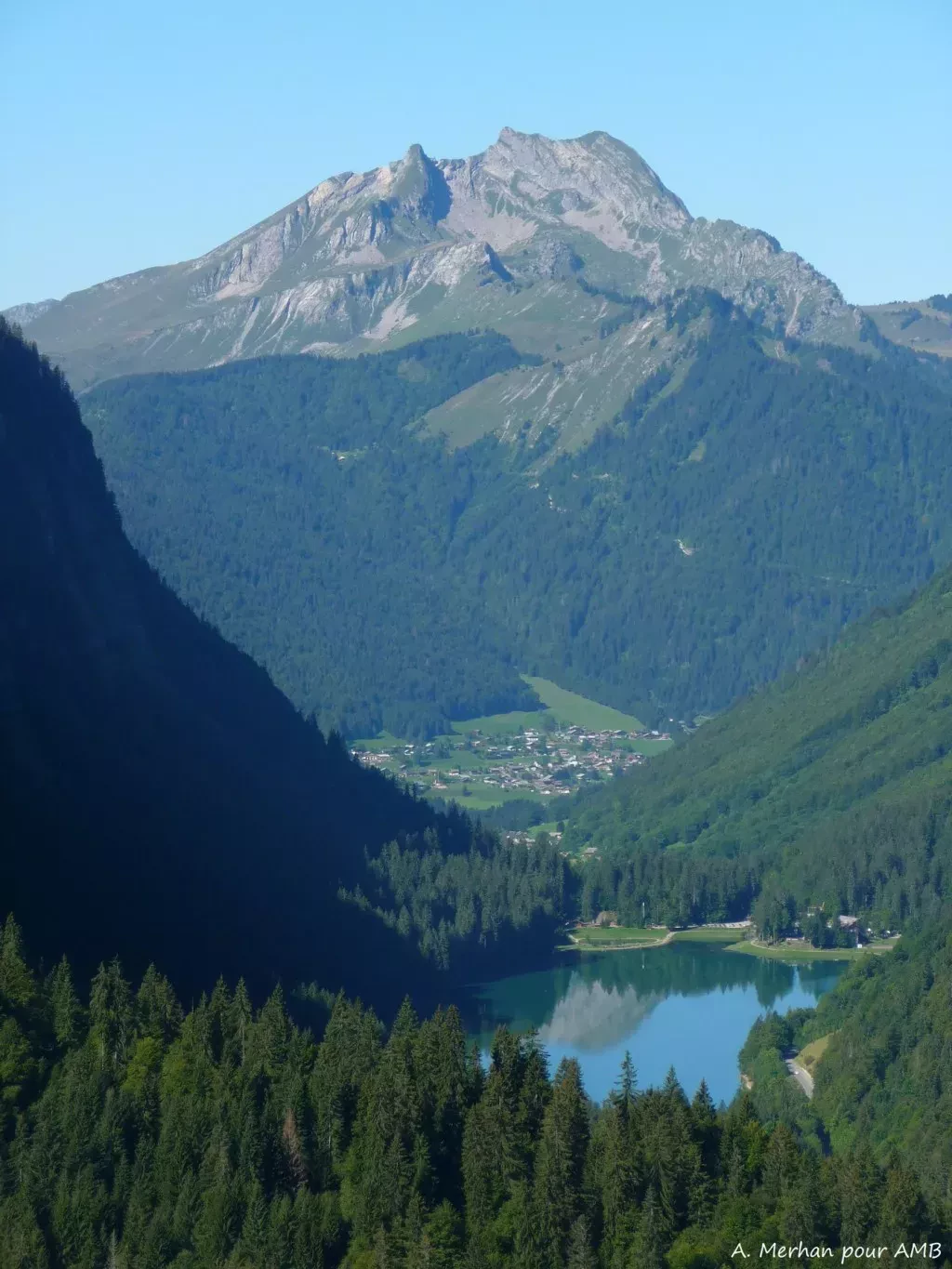 media-libraryr68bd57gf2gidxvjVjE