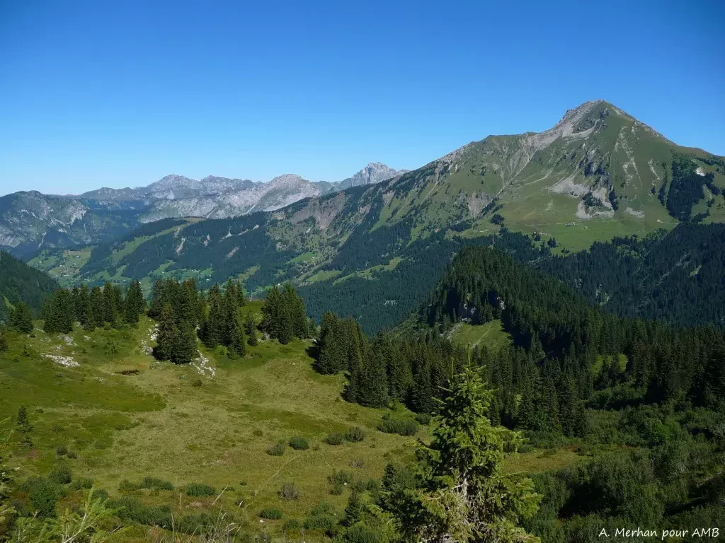 media-librarypvnp15n26gso2PlURjC