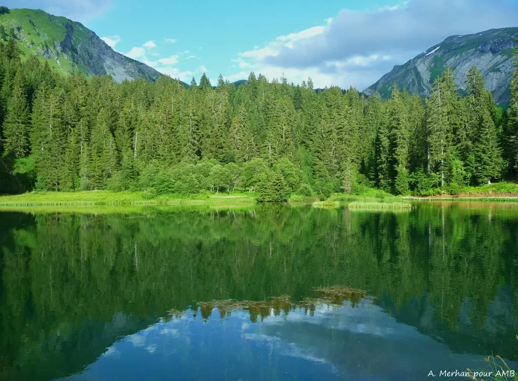 media-libraryvdjcng9pbuo9eO7R2ND