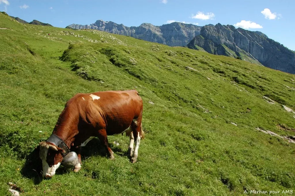 media-library5g5rldksho3iaEK4g0D