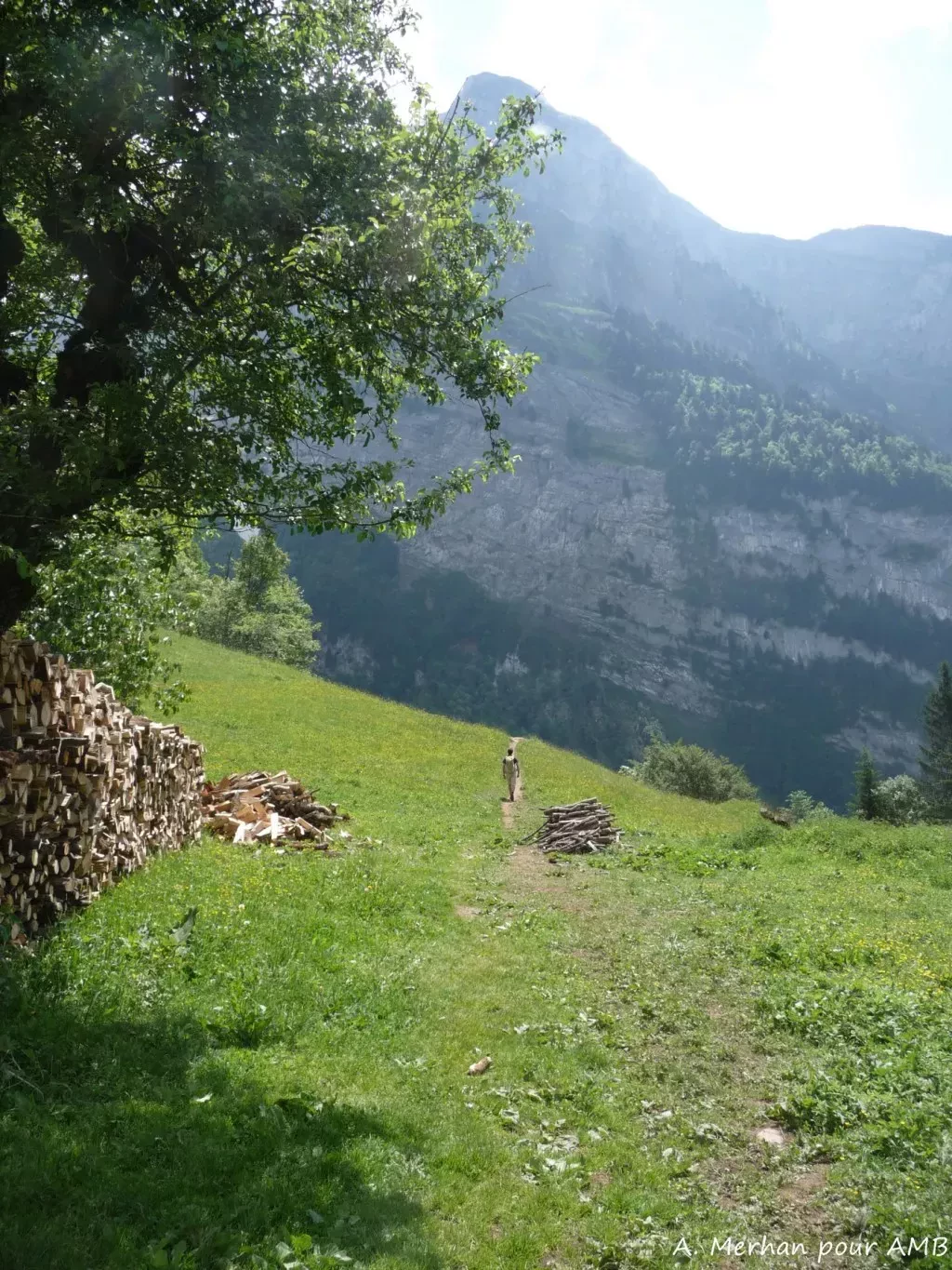 media-library2eau5om0pmrfeKn7oxB