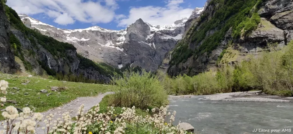 media-libraryha4gp9a7ajpbbn3VTYB