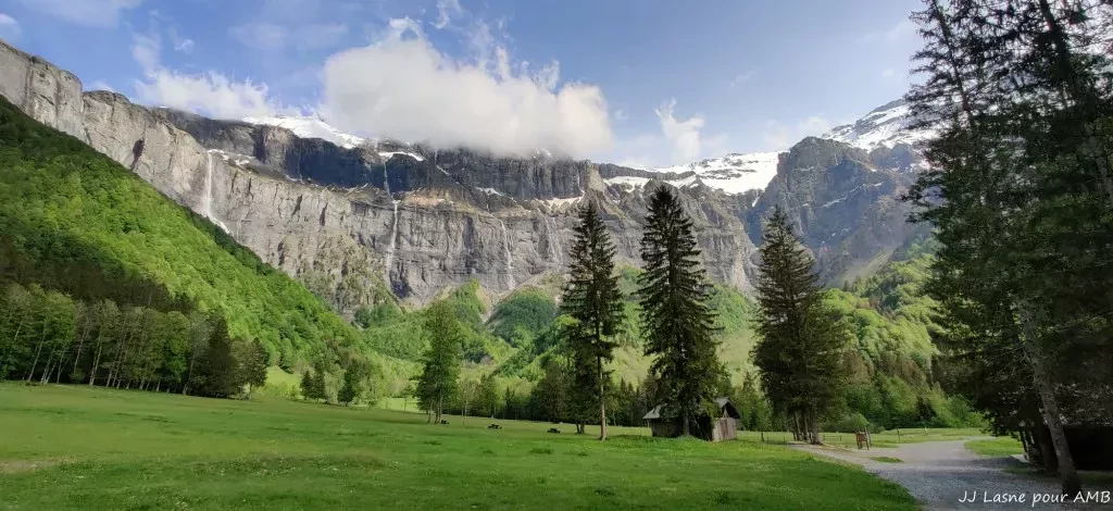 media-library0b3bfsnn3n3i1fNEJQD