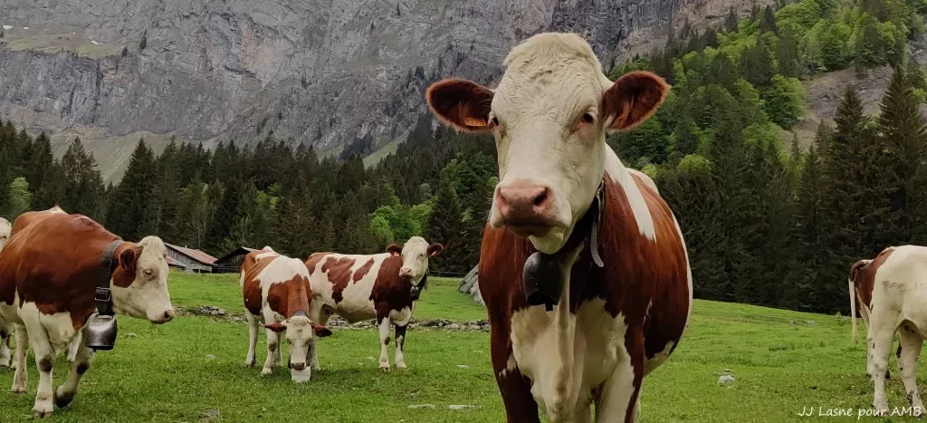 media-librarye0ojt08c1lrj6eP69TE