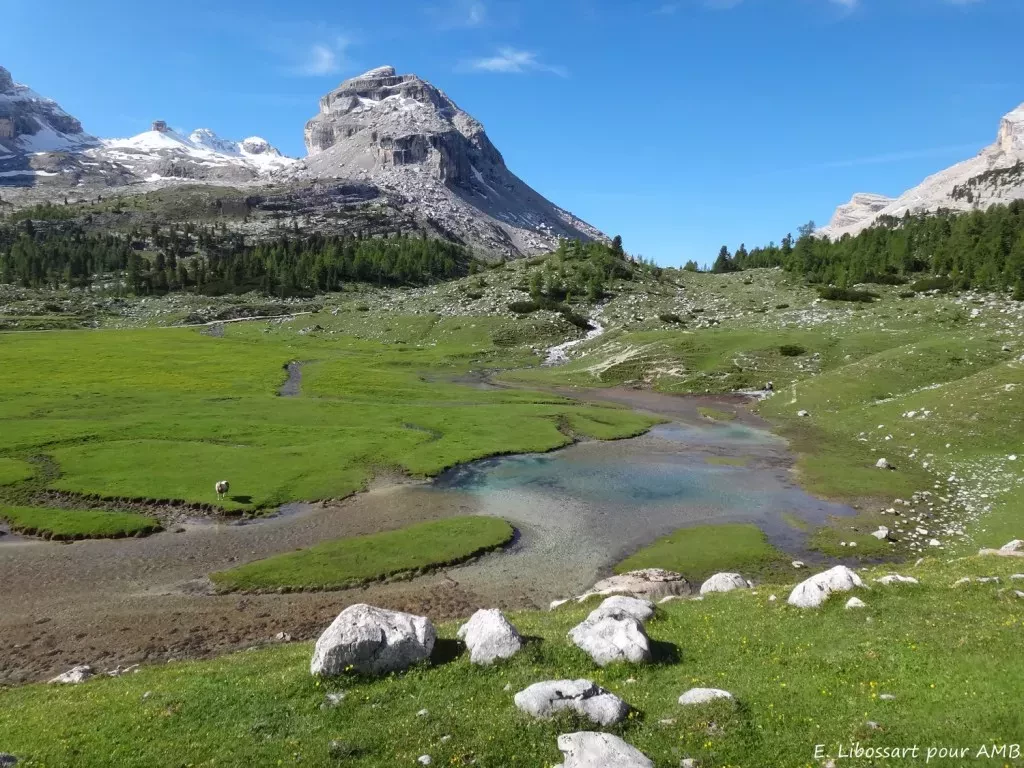 media-librarymk4ds2f5mrn6bmKltBF