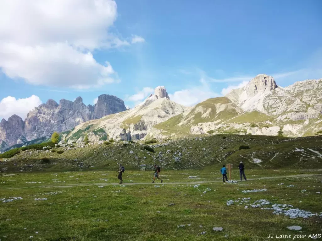 media-librarypbq50p52ovlt0QJeXlB