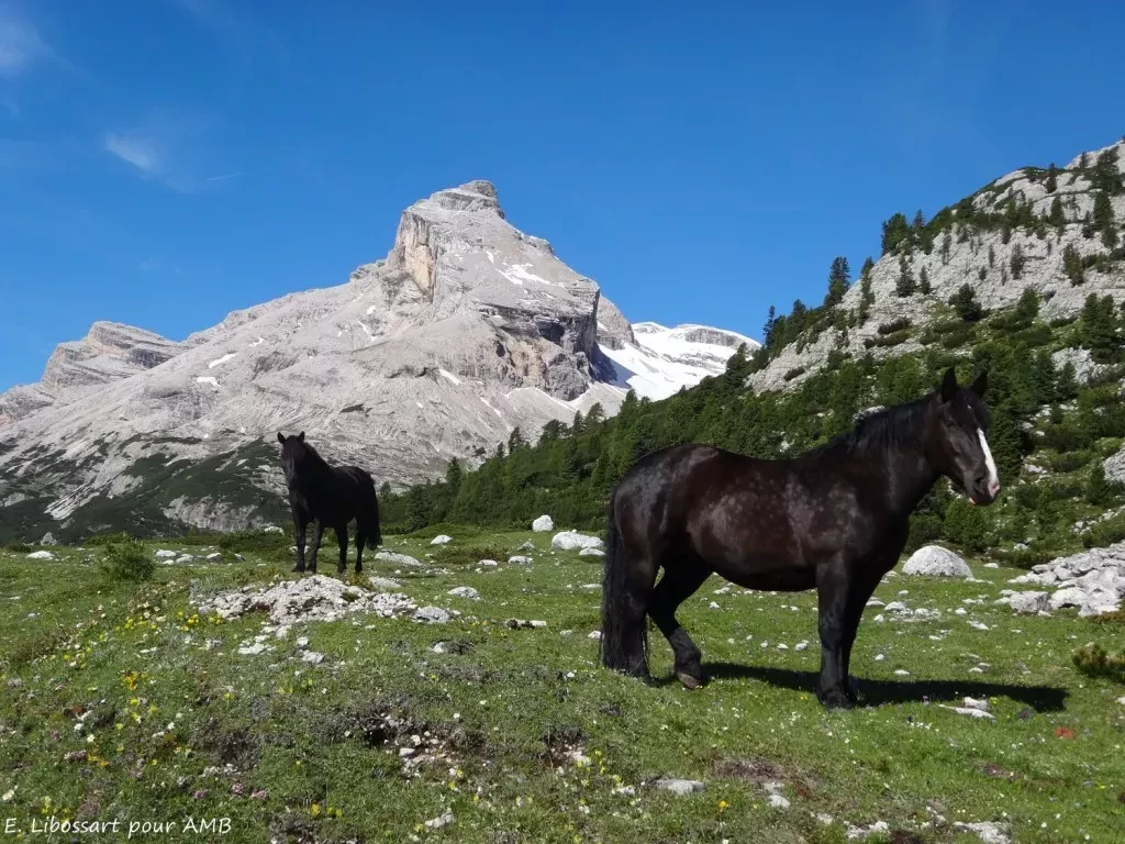 media-librarytakse4uj0vmd48SkyIB