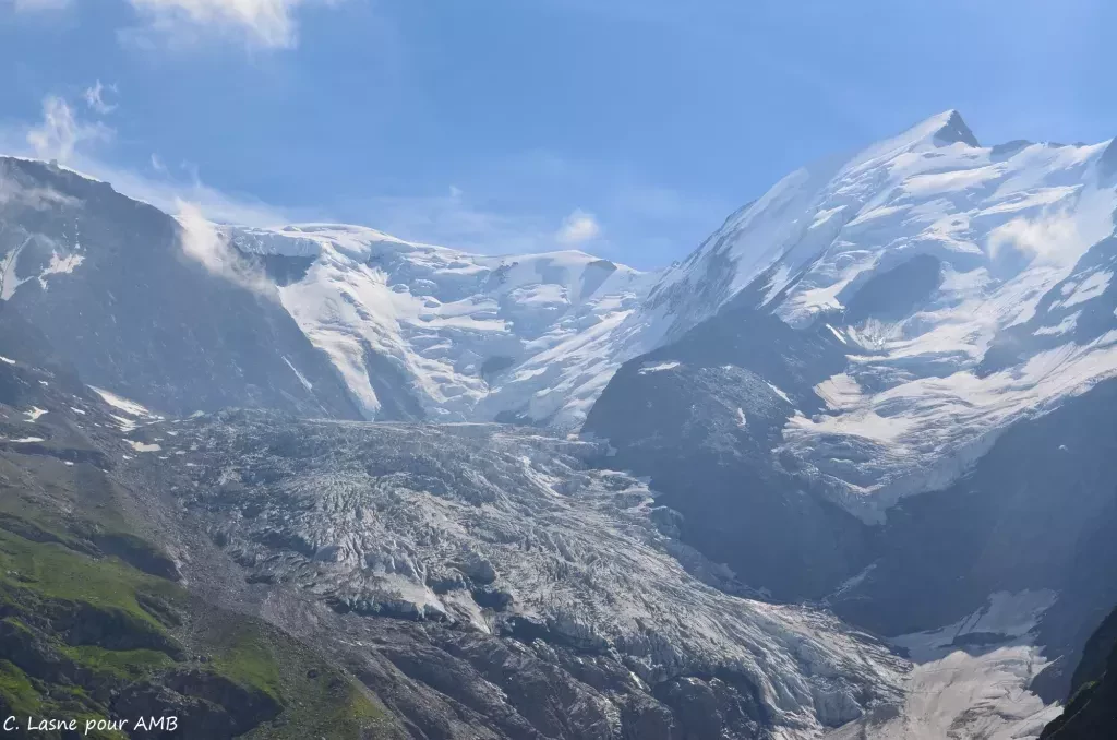 media-libraryve9r46b41l97dvsLXpB