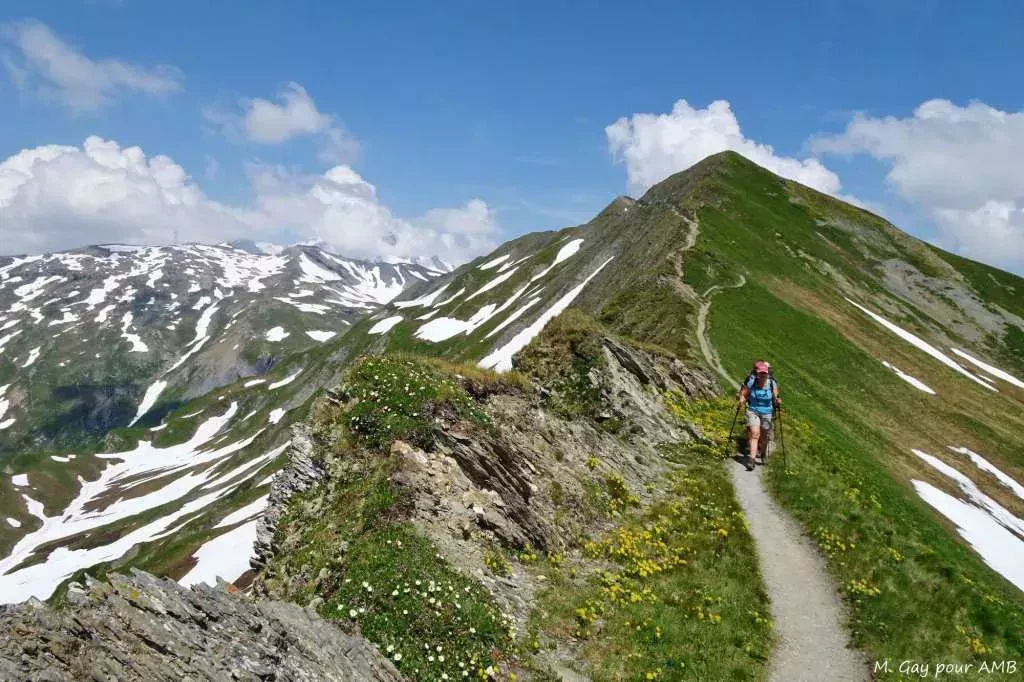 media-library0j0pjjisb5b5ajJL6xF