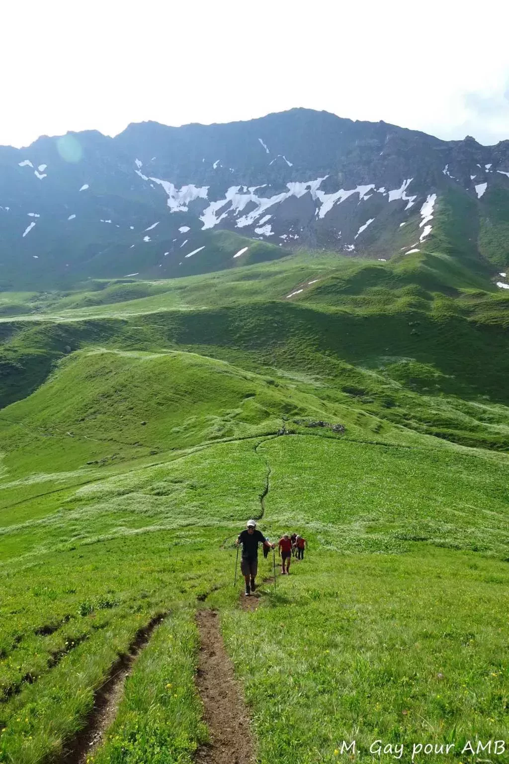 media-libraryj04cuvem6lkf50hBwoD