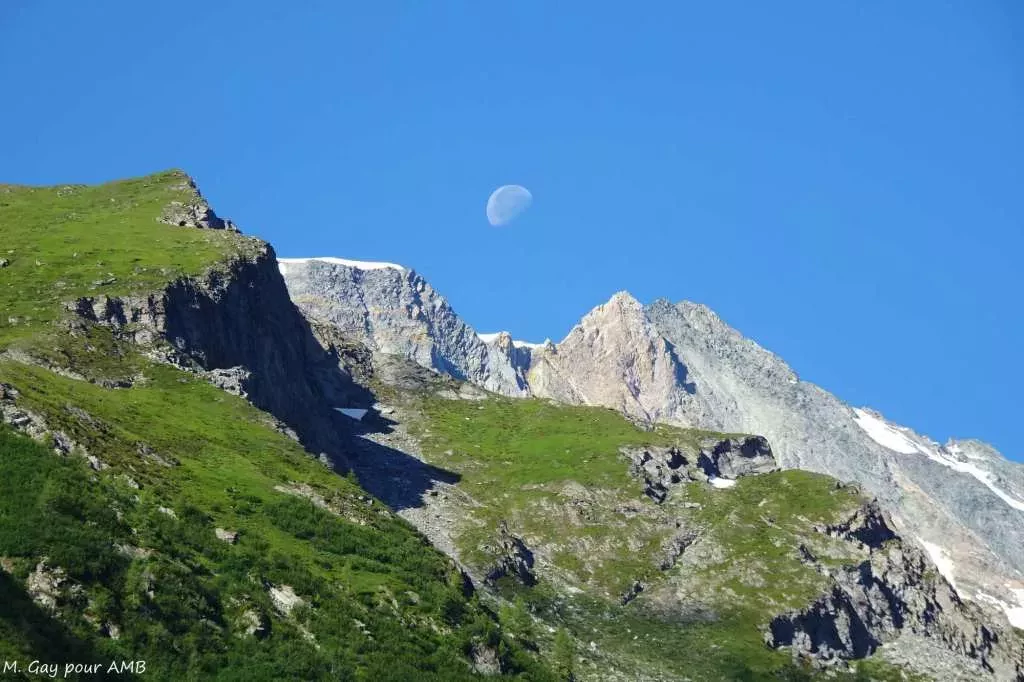 media-libraryeqvcitoqjdpf1Scyq6E