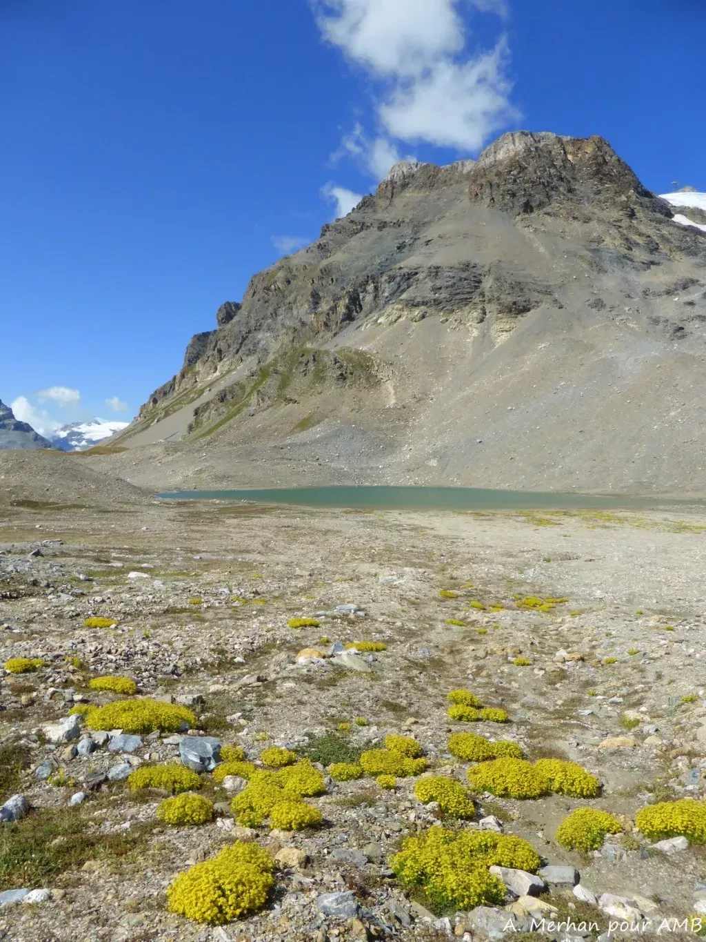 media-library5v7mtge3fpeteVJ5JZB