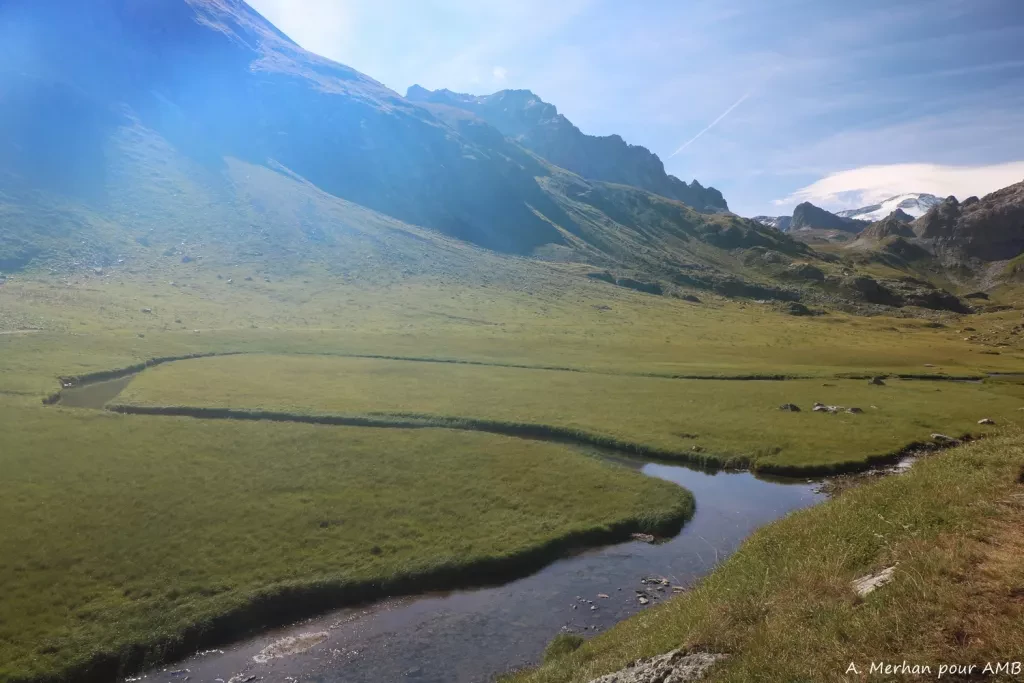 media-librarycl6qi1aqtjjo4tP7MME