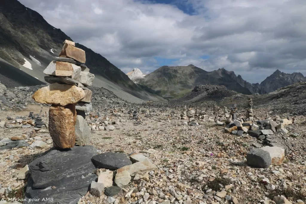 media-libraryae9s6v85rsolfD3bxGC