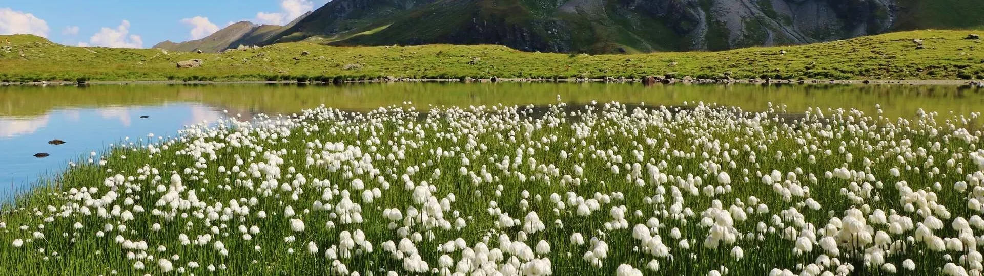 CHAMONIX - ZERMATT 6 DAYS Comfort self-guided