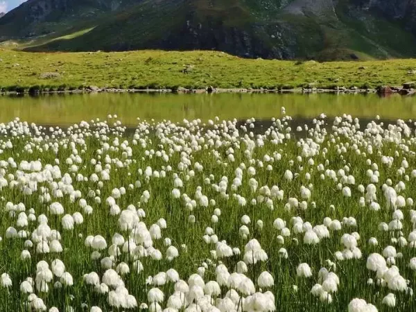 CHAMONIX - ZERMATT 6 DAYS Comfort self-guided