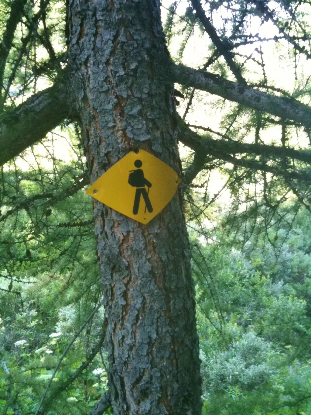 media-libraryrve62h1mg96c0ELWjvD