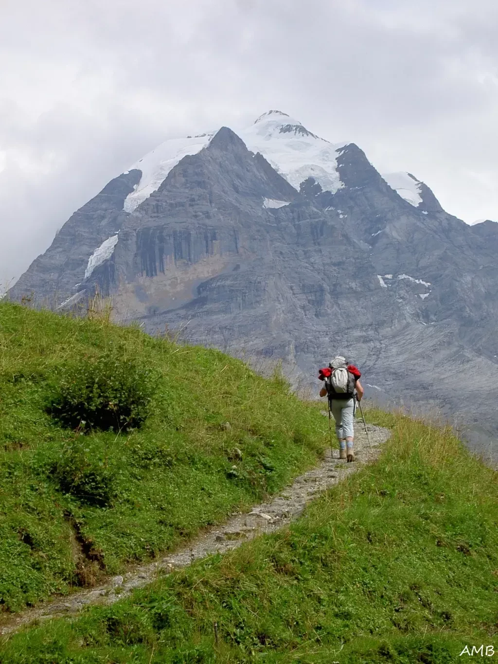 media-libraryroee0hdt0fjfbdtNFNF