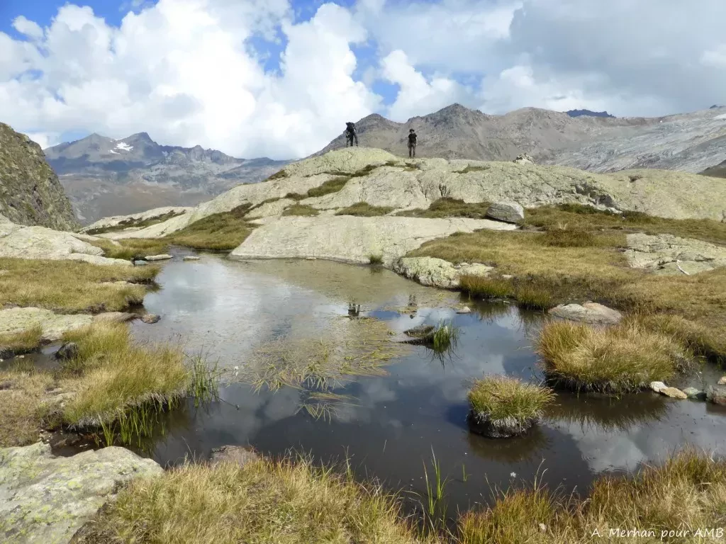 media-libraryj6o0e60cimaldp0f8oE