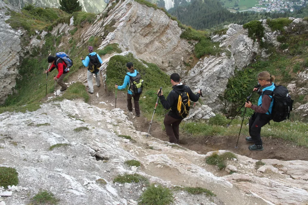 media-libraryl5tcinj6v3dr6DeRTvE