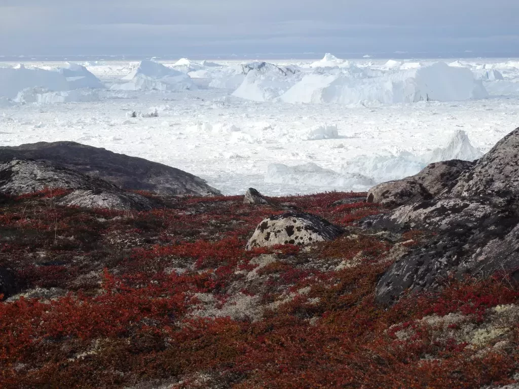 media-librarymd69fj9tf06072Gaa9S