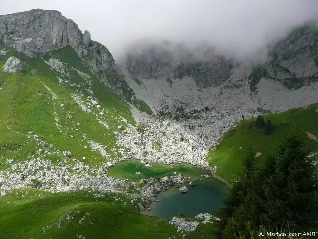 media-libraryipe242cgbn0m04jaDZS