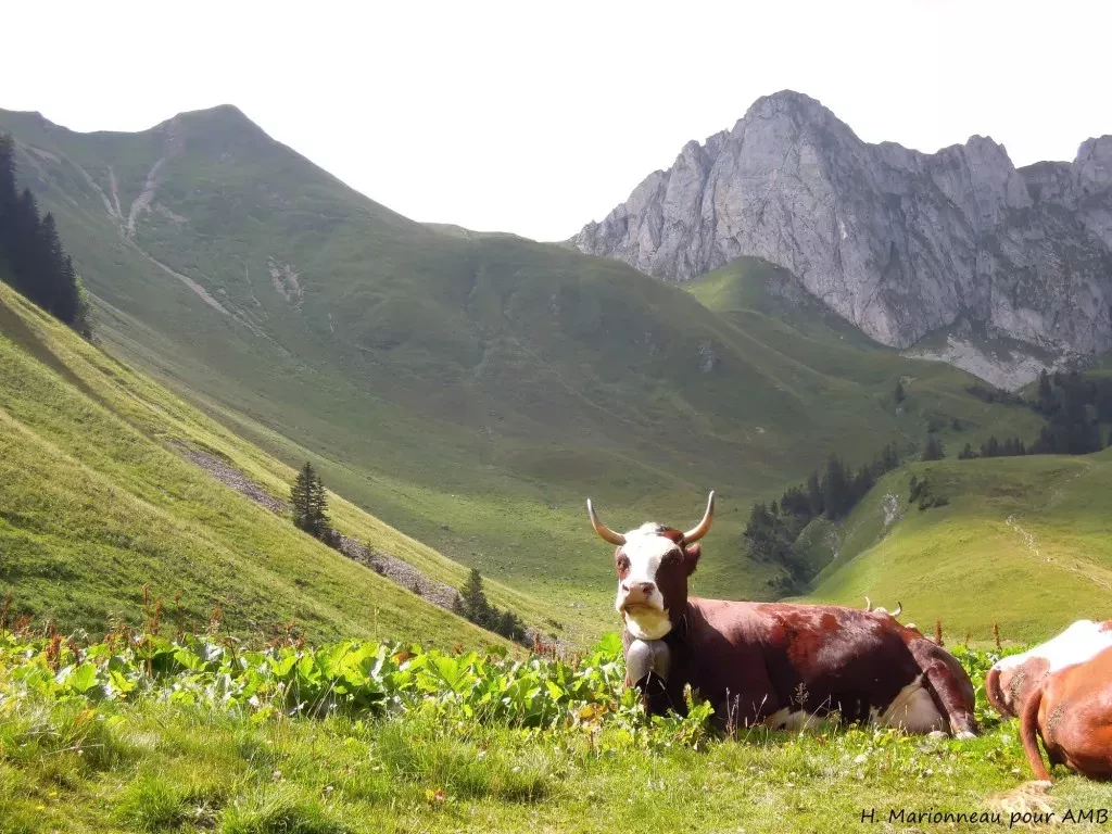 media-librarya6lbkckm270420xFijT