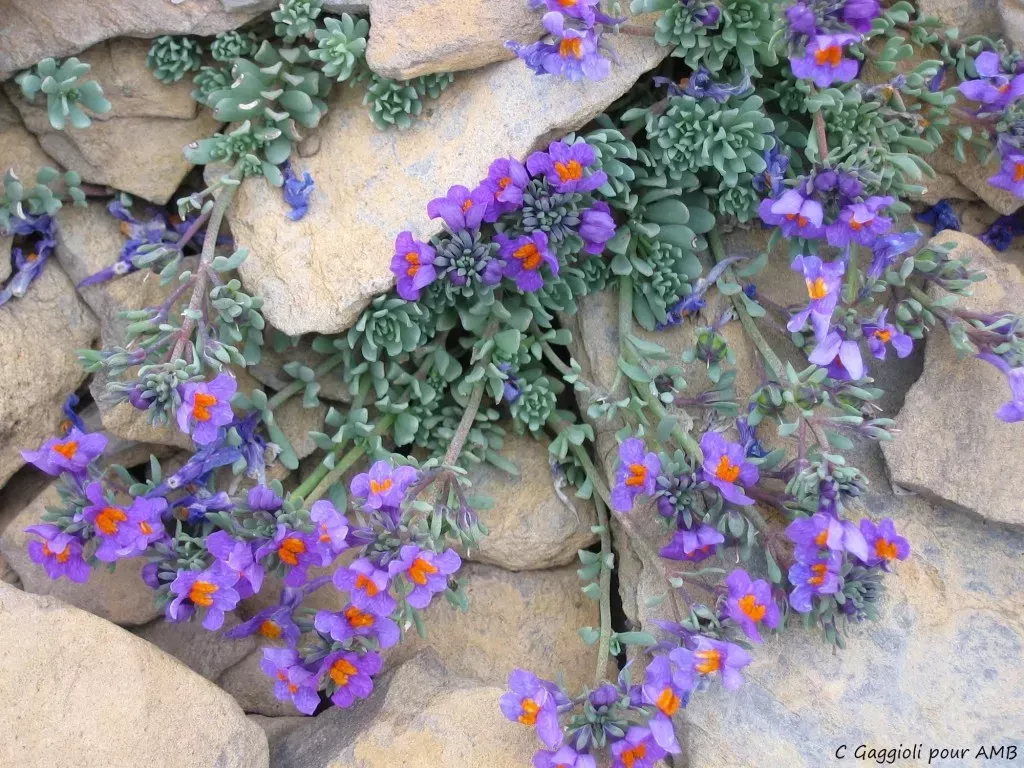 media-libraryh249o36hq2ek0wsxLCT