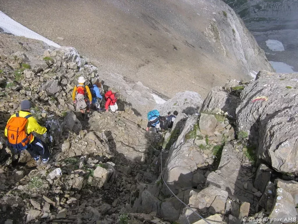 media-library3jb4hp984559b3LdwPW