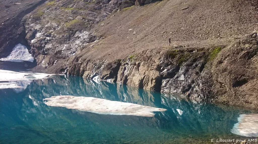 media-libraryq19qbfo5pqtg54JbH9S